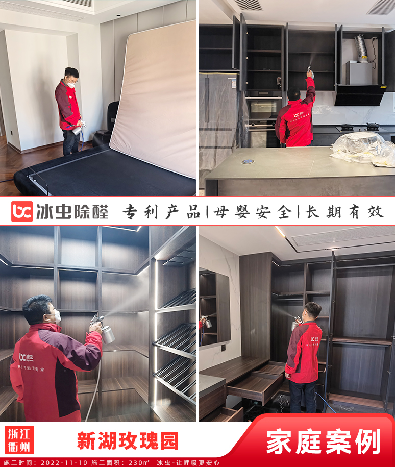 新湖玫瑰园--衢州除甲醛