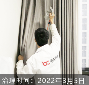江苏省南京市-明月花