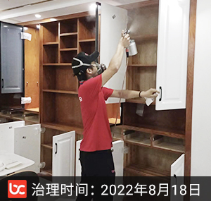 东方樾东福春晓--杭州
