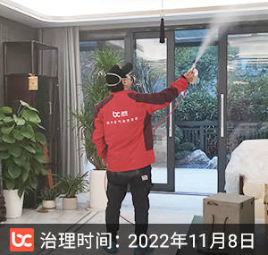 中航金城一号