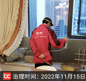 钱塘玥--嘉兴除甲醛