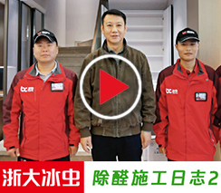 冰虫除甲醛施工日志