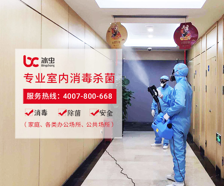冰虫室内除病毒细菌